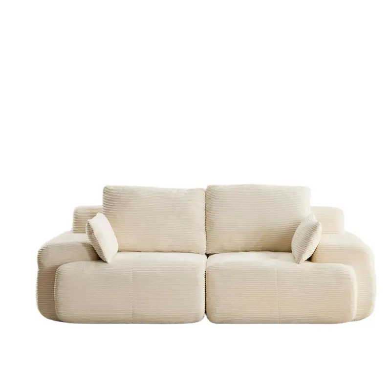 2-Seater Large Sectional Couch – Compact Yet Spacious Living Room Seating 1