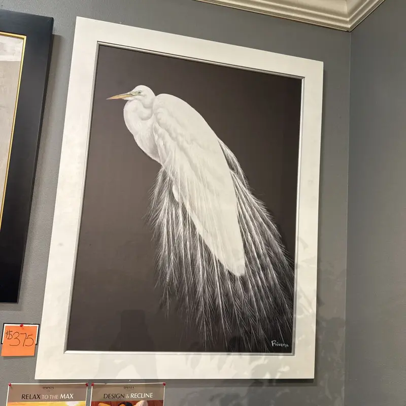 Black-And-White Heron Canvas Print – Striking Wildlife Artwork, 44" X 56", Framed (Akh) 1