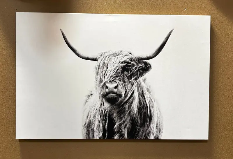 Black-And-White Longhorn Silhouette Wall Art (Bah) 1