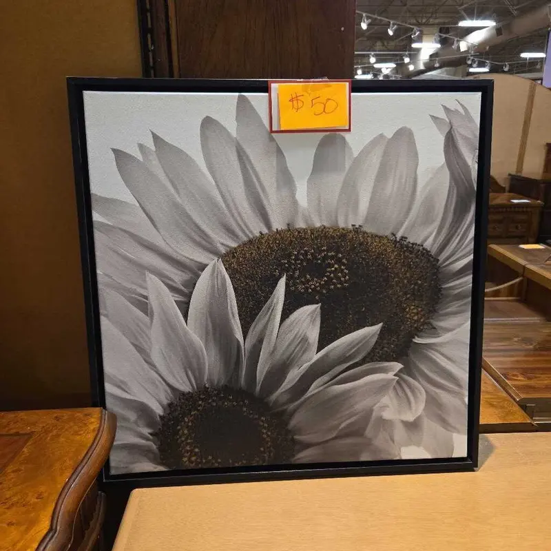 Black Frame Floral Wall Art – Contemporary Canvas Print (Ci) 1