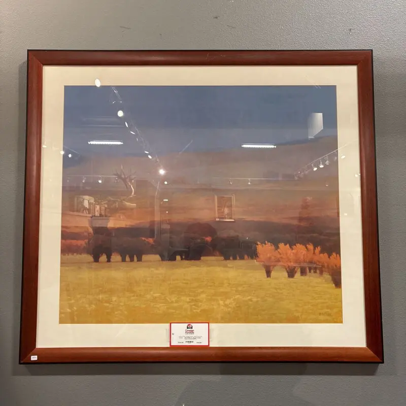 Extra-Large Brown Framed Nature Art – Panoramic Landscape Print 1
