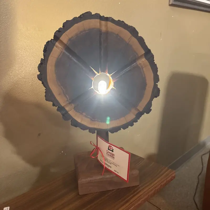 Live-Edge Round Table Lamp With Natural Wood Base 1