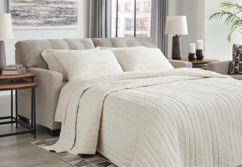 Mahoney Convertible Sofa Bed With Pull-Out Sleeper Function 1