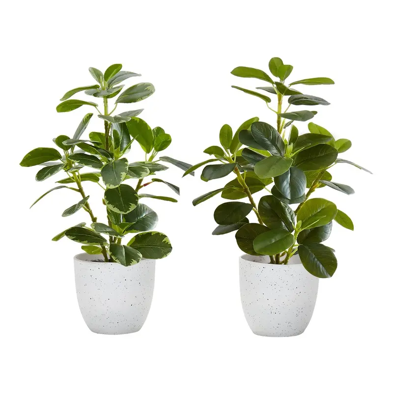 Set Of Two Realistic Artificial Ficus Elastica Plants 1