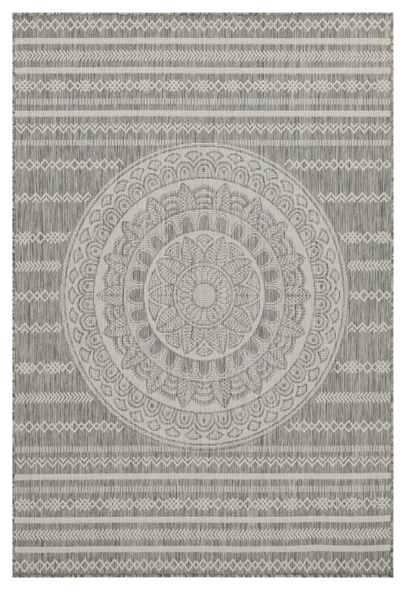 Sunshine 5'3" X 7'3" Silver Indoor & Outdoor Polypropylene Rug 1