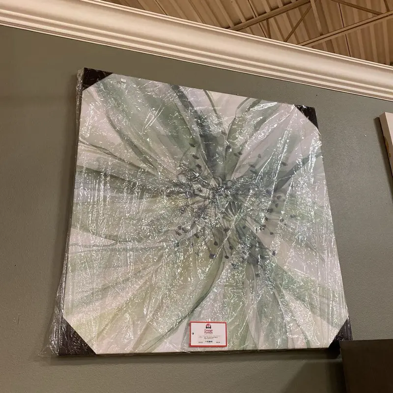 Wexford Home Macro Sage Green Abstract Canvas Print (Ct) 1